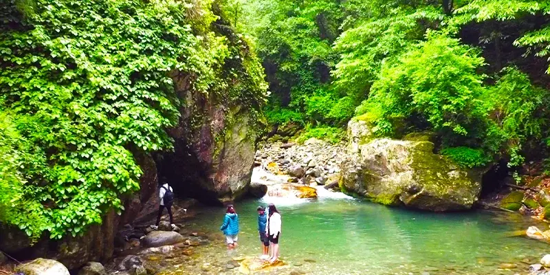 Jibhi Tirthan Valley Tour